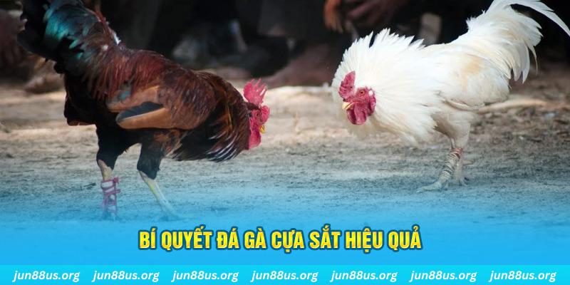 w88 213 nổ hũ may mắn