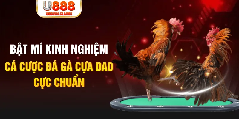 w88 213 casino hồ tràm có cho người việt vào không