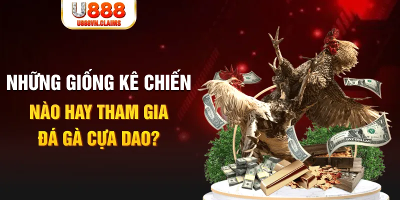 w88 213 BG Trực Tuyến