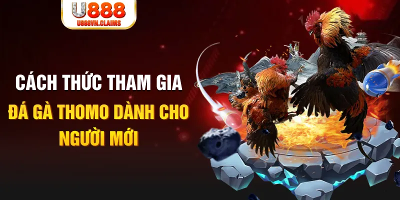 w88 213 truc tiep da ga