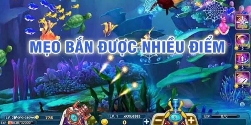 w88 213 baccarat có lừa đảo không