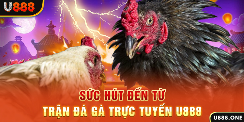 w88 213 đăng nhập poker 2024