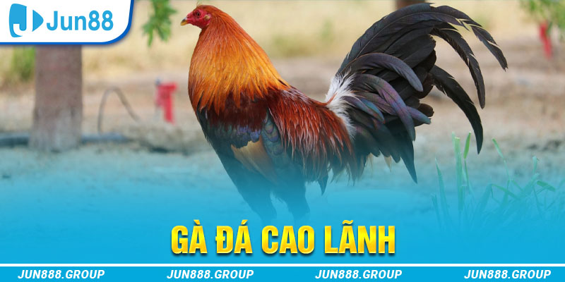 w88 213 tai game vua bai ve may tinh