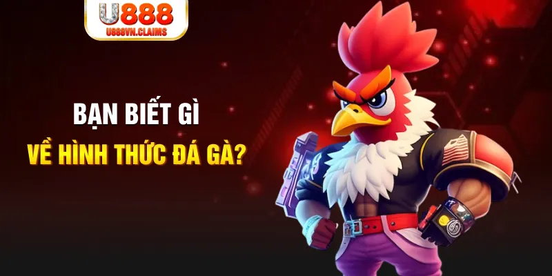 w88 213 đăng nhập liêng tặng tiền