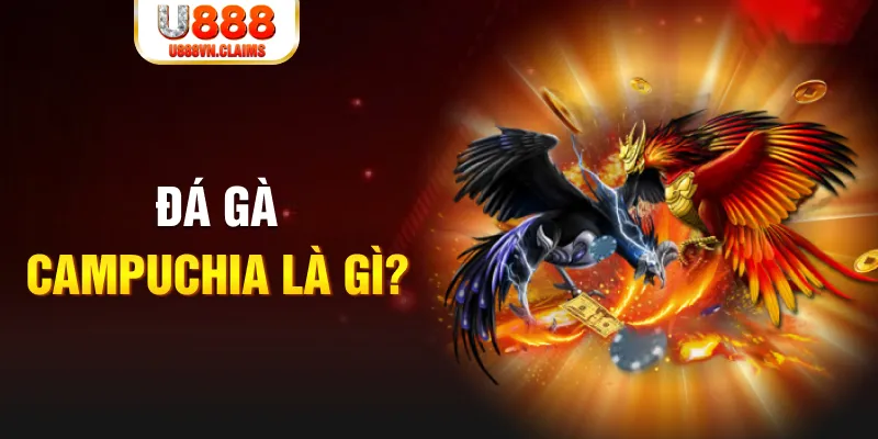 w88 213 what is the best online casino for real money