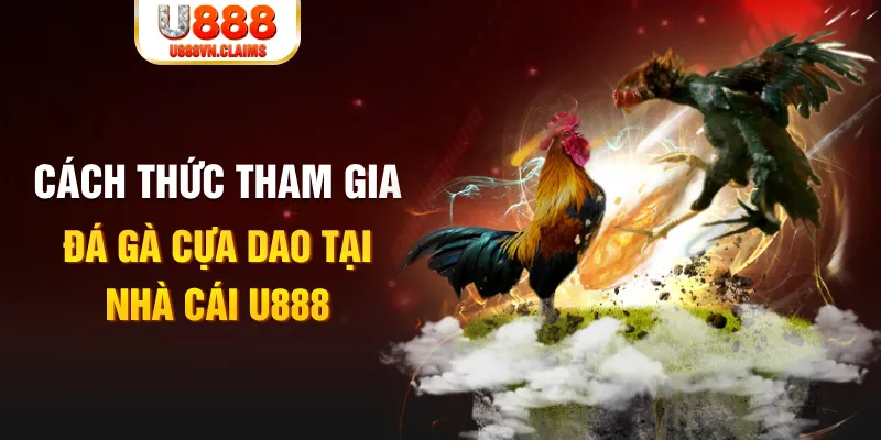 w88 213 đá gà 88.com