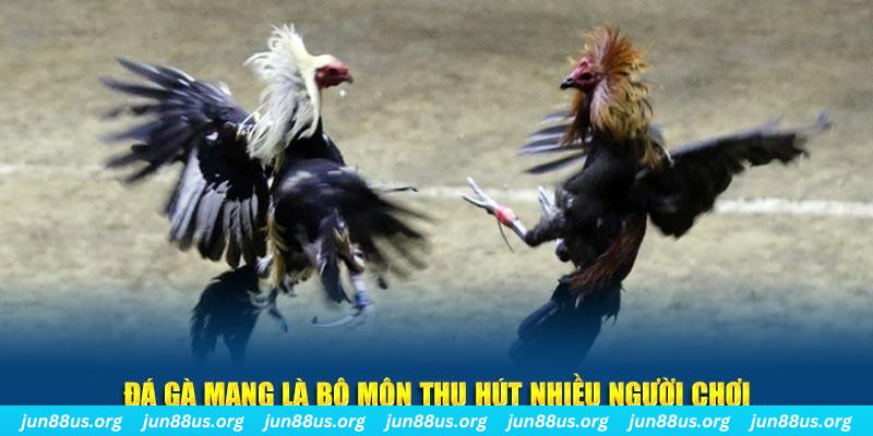 w88 213 đăng nhập sòng bạc số 1