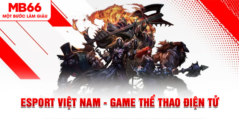 w88 213 xổ số sóc trăng