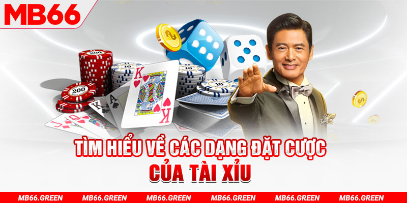 w88 213 what is a casino loyalty program