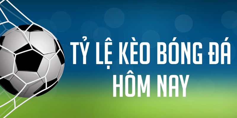 w88 213 đăng nhập phỏm