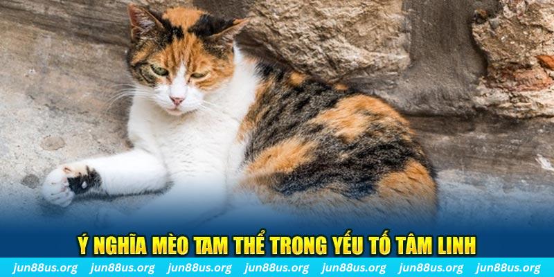 w88 213 máy slot game là loại trò chơi gì？