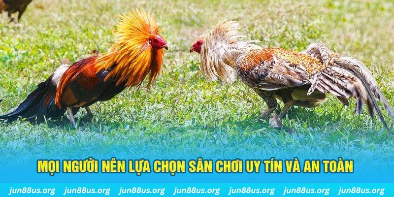 w88 213 đăng nhập poker 2025