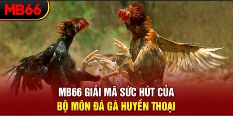 w88 213 xổ số đài bắc
