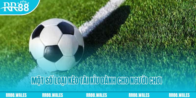 w88 213 slot nghĩa là gì