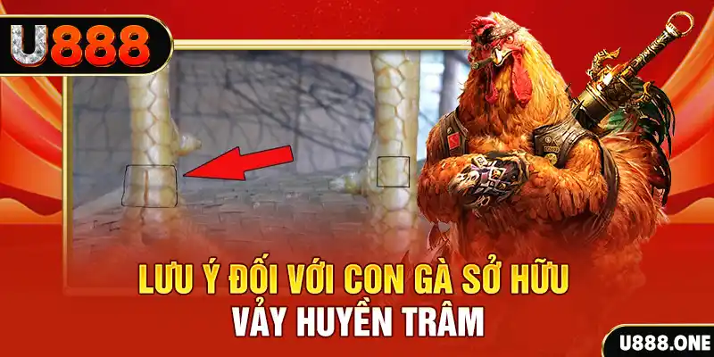 w88 213 tải game đánh bài tiến lên miền nam về máy tính