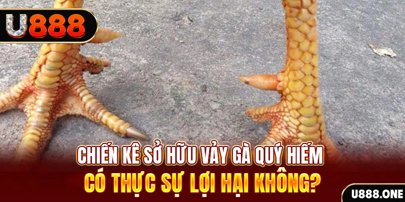 w88 213 xổ số miền trung