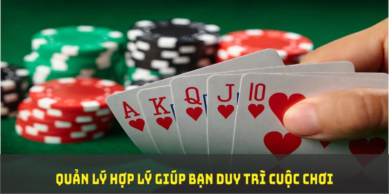 w88 213 đá gà trực tiếp thomo 67