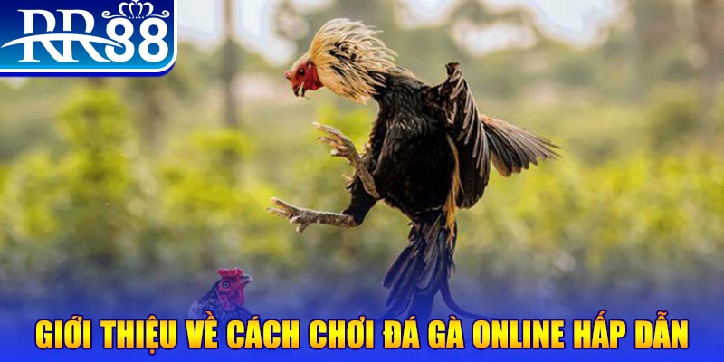 w88 213 bắn cá h5 là gì