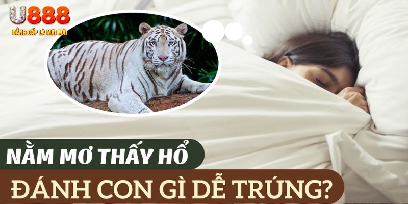 w88 213 nohu .mx nổ hủ là gì