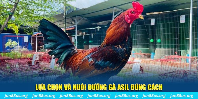 w88 213 nổ hũ thần tài là gì