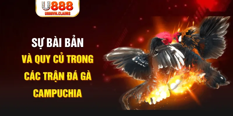 w88 213 game xếp bài trên máy tính