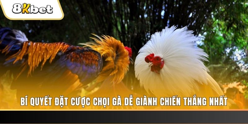 w88 213 nổ hũ chơi như thế nào
