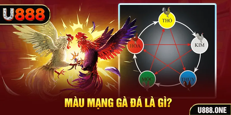 w88 213 V8 Game Bài 3d