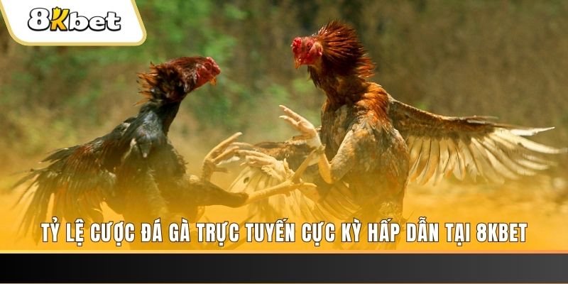 w88 213 xổ số miền bắc chủ nhật