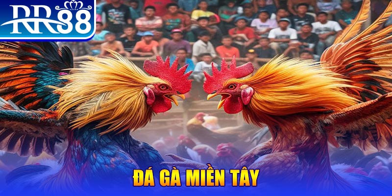 w88 213 đăng nhập liêng đổi thưởng