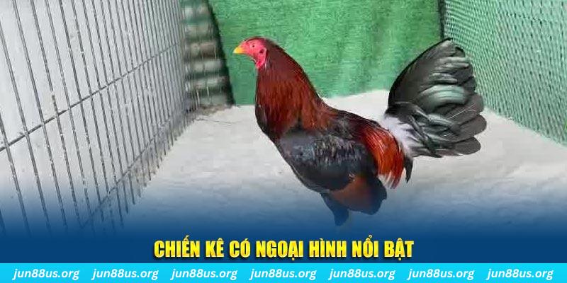 w88 213 qq88 bắn cá