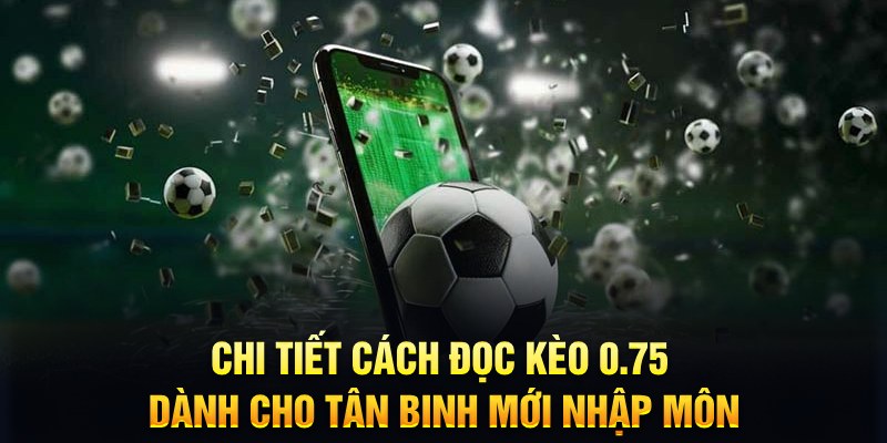 w88 213 Xì tố