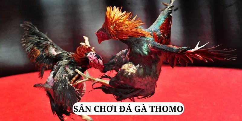 w88 213 quay nổ hũ là gì